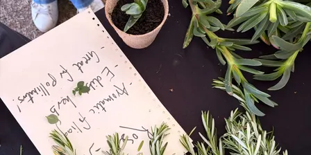 Propagation Station