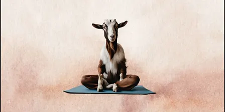GOGA - Goat Yoga at Edendale