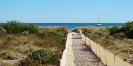 Coastal Dune Walk in Spring