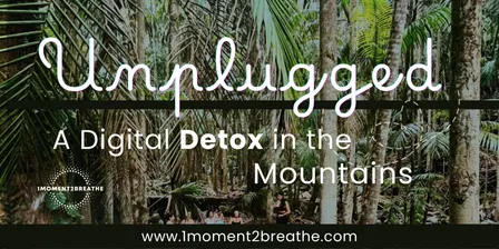 Unplugged: A Digital Detox Walk • Witches Falls, Tamborine Mountain