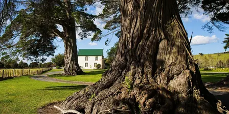 Auckland Heritage Festival: The Valley that fed a City (talk/seminar)