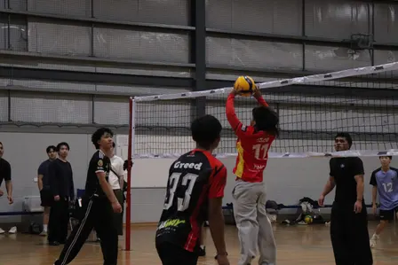 Sunday Social Volleyball