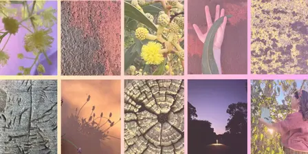 Sacred Seeds: A Sensory and Creative Exploration of Place