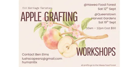 Apple Grating Workshop -Queenstown