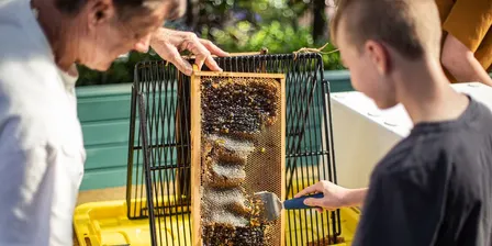Kids' Honey Workshop | Spring 2026