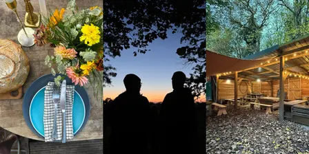 Supper in the Woods