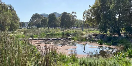 Summer Solstice Gathering at YWNR