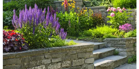 Principles of Garden Design: Short Course