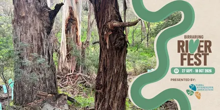 Eucalypts of the Diamond Creek