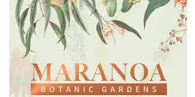 Guided plant walk - trees and shrubs from the Maranoa Florilegium 1pm