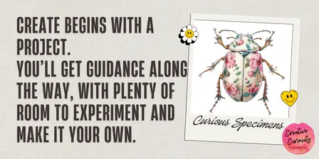 CREATE: Curious Specimens
