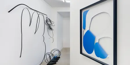 Drawing Club: How far you can take a line with Mira Gojak