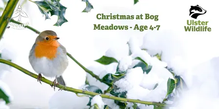 Christmas at Bog Meadows with Rooting for Childhood - age 4-7