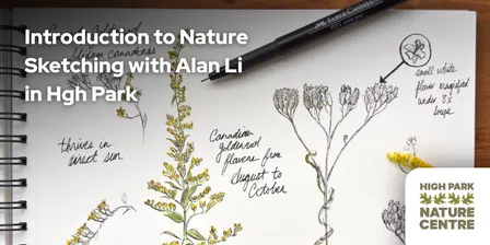 Introduction to Nature Sketching with Alan Li in High Park