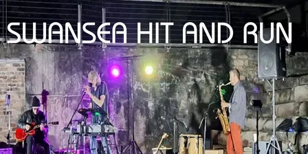 Swansea Hit and Run w/ Damned Dog and The Dynamics