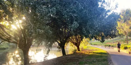 Guided Walk: Bonython Park / Tulya Wardli (Park 27)