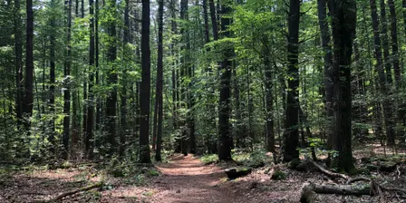 Friend-making Hike for Folks Under Forty