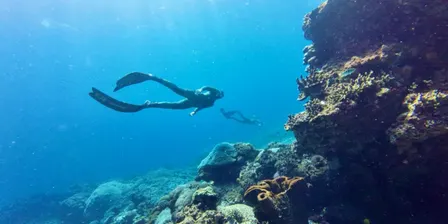 Blueback Freediving & Yoga Community Day SUN 20 SEP 2026