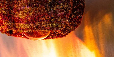 Exhibition: Shaped by Seasons | Madeleine Sommers