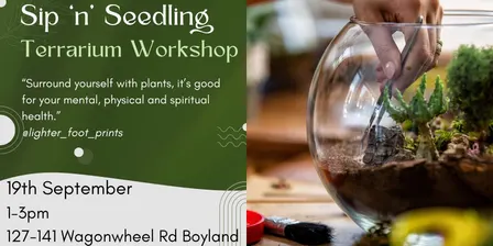 Sip 'n' Seedling - Terrarium Workshop
