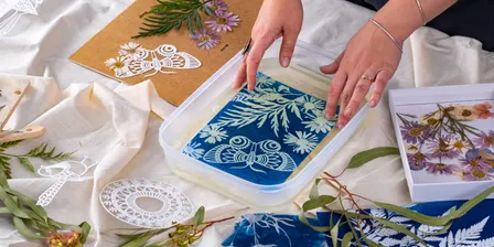 Art, Wisdom and Wine: Cyanotypes; Seeds of Nature Photographer of the Year