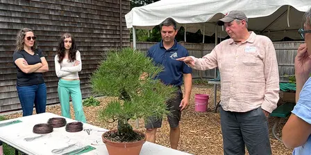 Bonsai Essentials 2: September 27, 2026