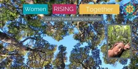 'Just Being' Forest Bathing (Women) - Fridays in Torbay