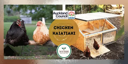 Chicken kaiatiaki - Learn all about Chicken, The ReCreators Green Space, Monday 9 Nov, 10am - 12:30pm
