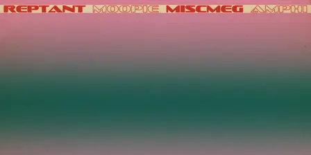 ˚˖𓍢ִ໋❀ Reptant, Moopie, Miscmeg, Amphi 𓍢ִ໋❀˖˚