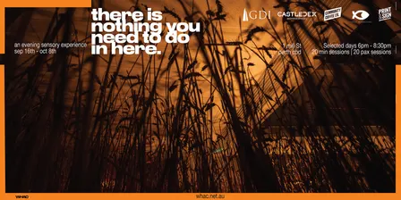 AN EVENING SENSORY EXPERIENCE: 'there is nothing you need to do in here.' At Night.