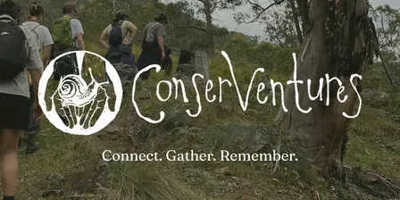 Guided Twilight Walk: Hear the Bush Come Alive at Dusk | Lane Cove
