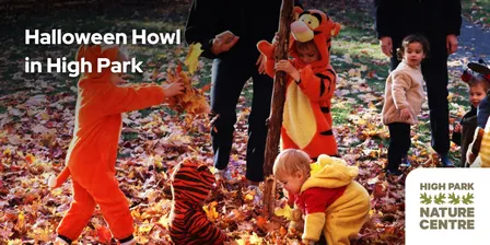 Halloween Howl in High Park - Evening Session