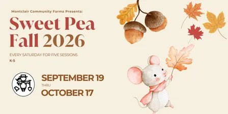 Sweet Pea Fall 2026