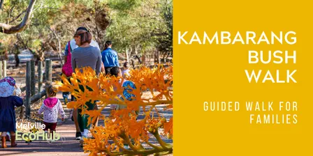 Kambarang Bush Walk - Families