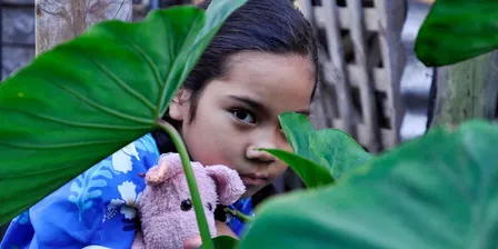 10 Years of Pasifika Film Fest