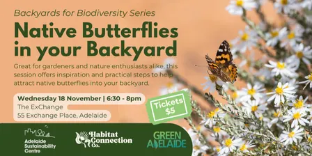 Native Butterflies in your Backyard