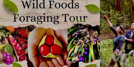 Tweed Wild Foods Foraging Tour