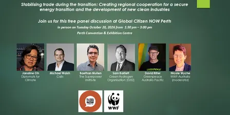 Stabilising trade during the transition: Creating regional cooperation for a secure energy transition and the successful development of new clean industries