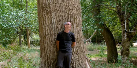 Tree stories (and some grass)