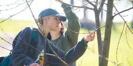 Invasive Plant ID Workshop
