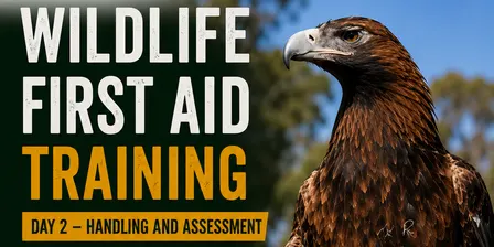 Wildlife First Aid Training - Day 2