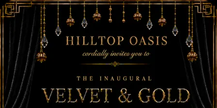 Velvet & Gold Soiree