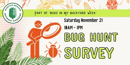Bugs In My Backyard Bug Hunt