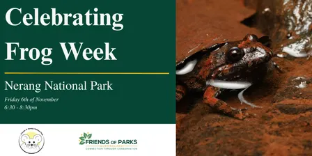 Frog ID Walk - Nerang National Park