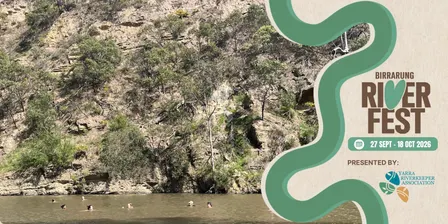 Swimming Birrarung and Stormwater