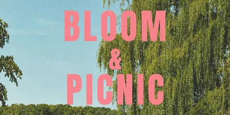 Bloom & Picnic