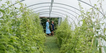 Weleda Medicinal Garden Tour September