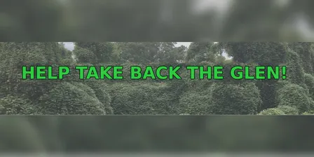 Help Clear Invasive Vines from Glen Echo Park