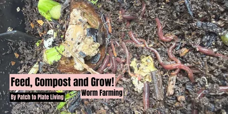 Feed, Compost and Grow! (Worm Farming) - 10.04.27