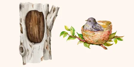 Term 3: Nests and Hollows